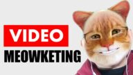 video meowketing