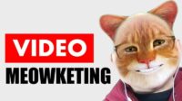 video meowketing